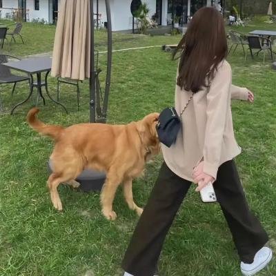 风流西班牙