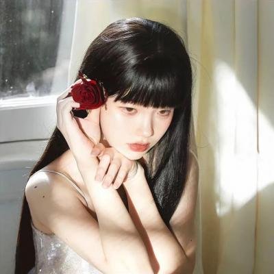 加菲猫2